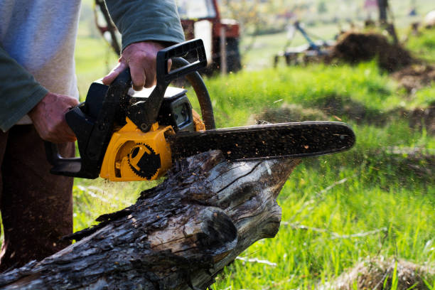 Best Lawn Dethatching  in Parksdale, CA